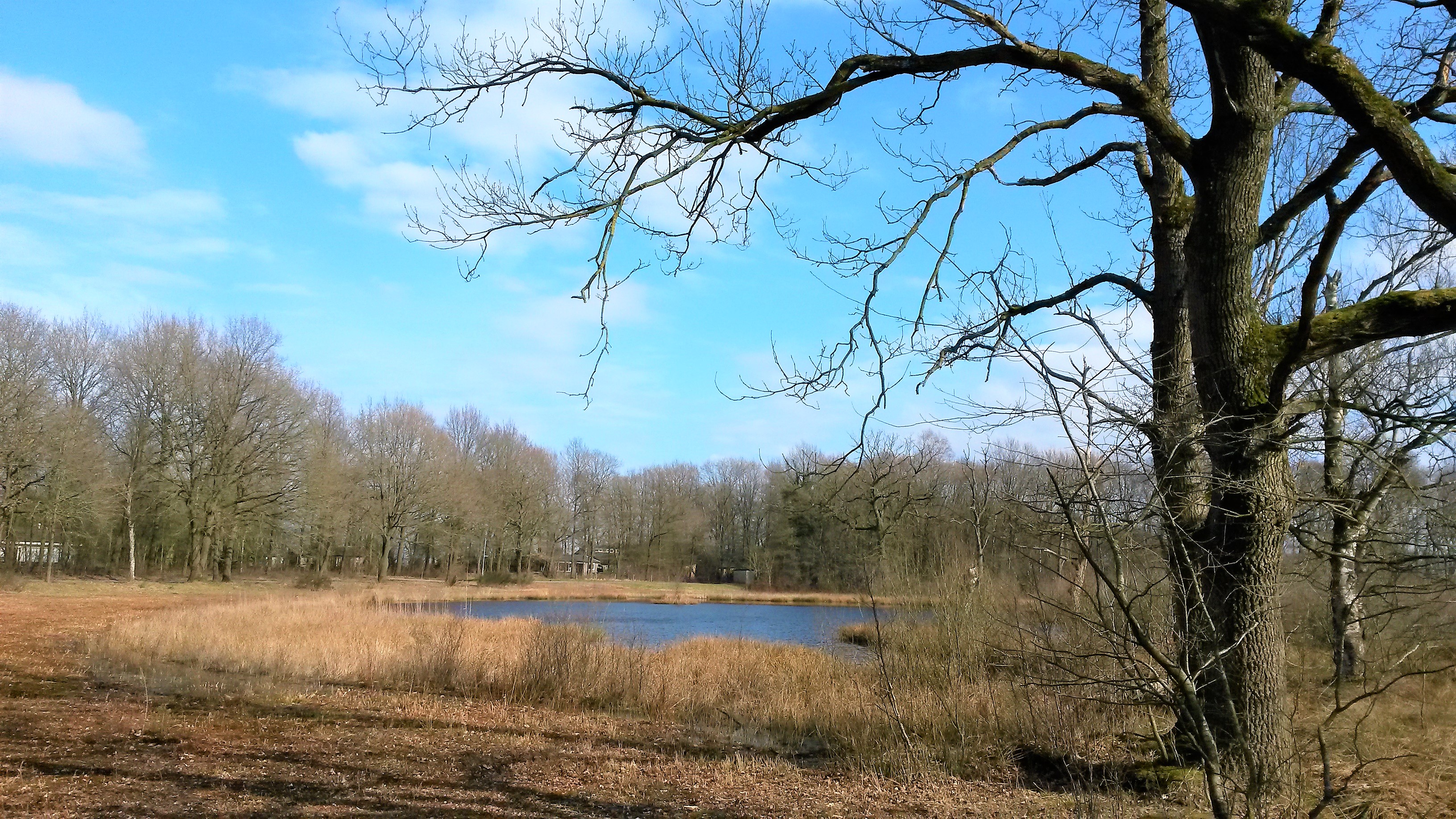 20180317_142944 bewerkt